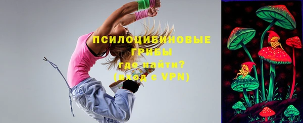 дмт Козельск