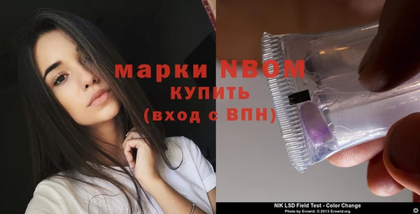 сатива Коряжма