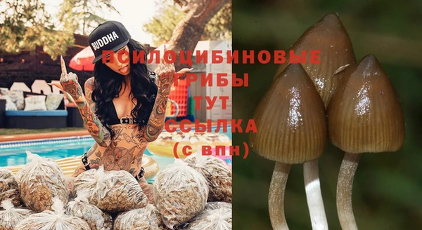 ешки Корсаков