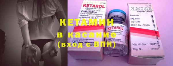 сатива Коряжма