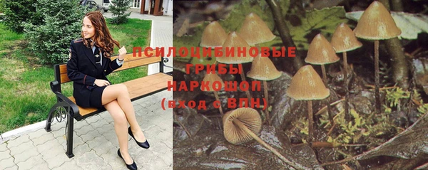 дмт Козельск