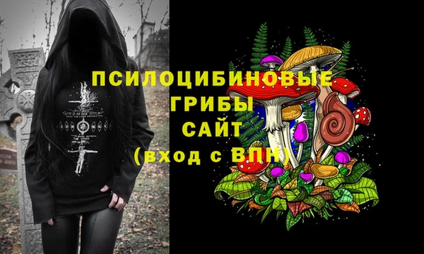 дмт Козельск
