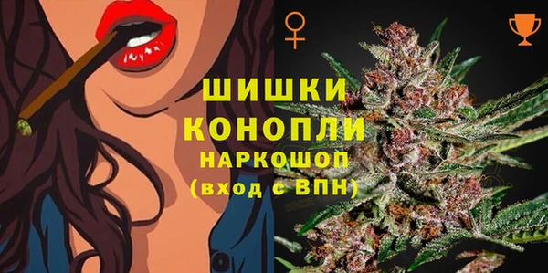 дмт Козельск