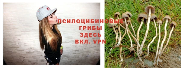 таблы Бердск