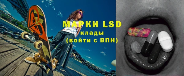 гашик Костерёво