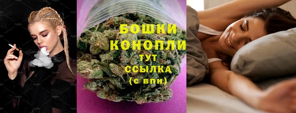 гашик Костерёво