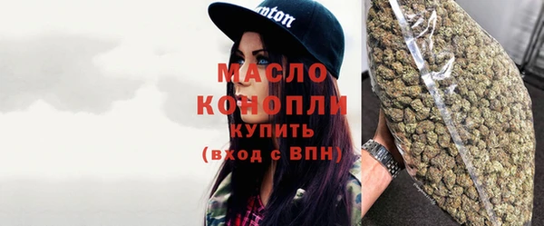 дмт Козельск