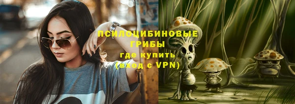 ешки Корсаков